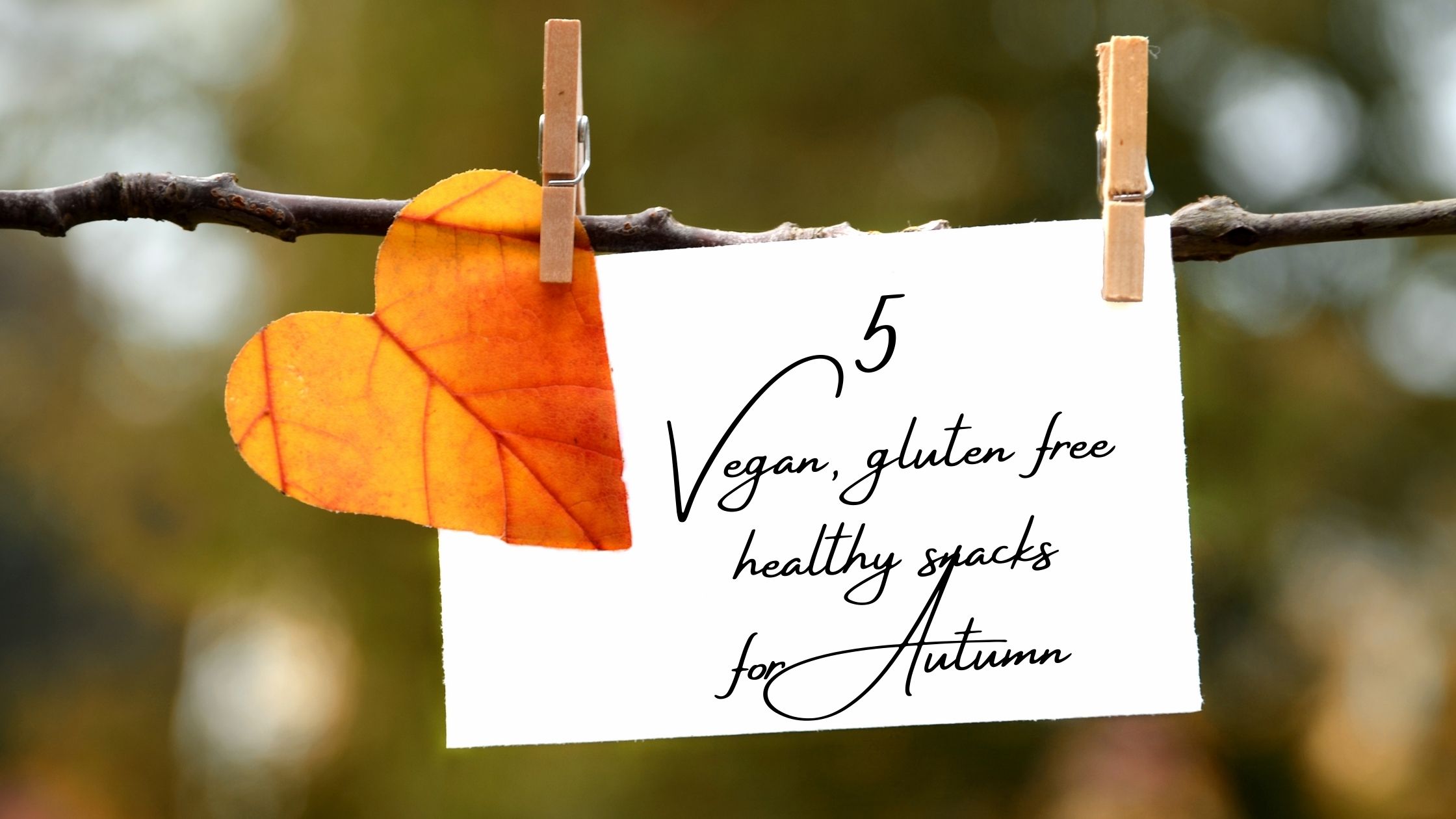 vegan gluten free snacks